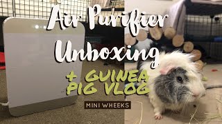 Air Purifier Unboxing & Guinea Pig VLOG