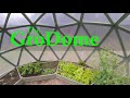 DIY GREENHOUSE for Under $300 - "GroDome" - built by an inventor Dr. Norman Petty