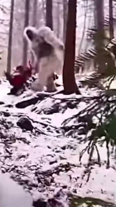 Yeti falling down hill with My Singing Monsters Mamot Bum Bum Sound