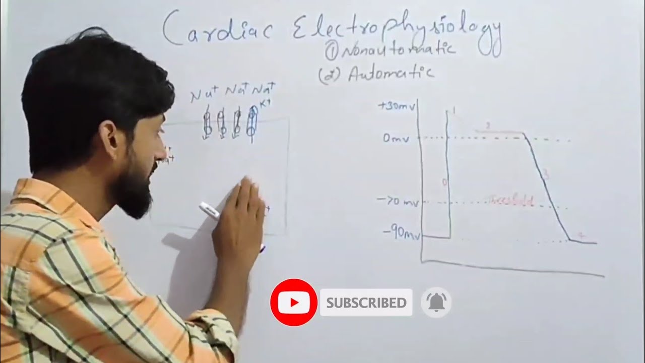 Cardiac Electrophysiology | action potential B.Pharm 3rd Year | Pharmacology | Unit-1