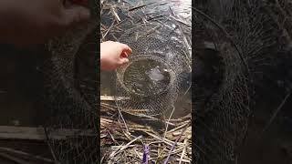 Рыбалка ранней весной! Рыбка начинает клевать!