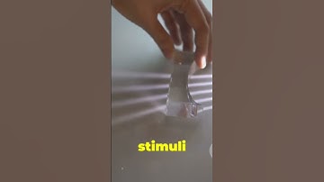 4D-printed "polymer airplane" that folds itself into shape