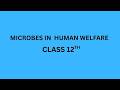 MICROBES IN HUMAN HELFARE | LEC 01 | BY DY KARAN VARDHANI
