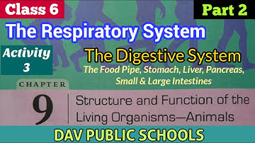 DAV class 6 Science chapter 9 Structure and Functions of Living Organisms Animals