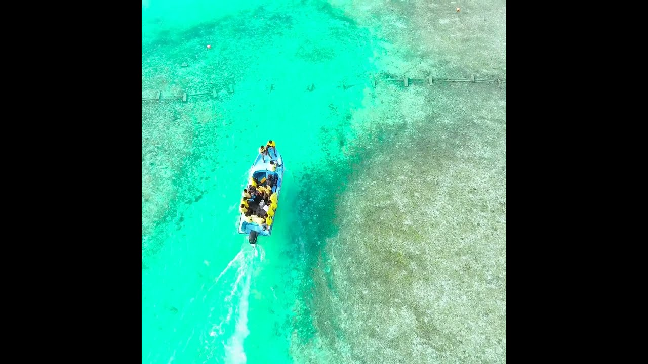 30 MINUTES RELAXING PIANO MUSIC WITH NATURE DISPLAYS