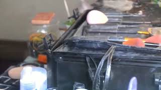 Makeup mandar modern complication Rifai Rias