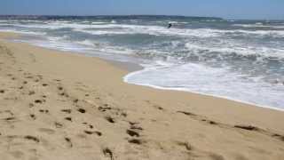 Mallorca - Playa de Palma / HOTEL HSM VENUS PLAYA / Beach - Strand - Playa / Majorca island