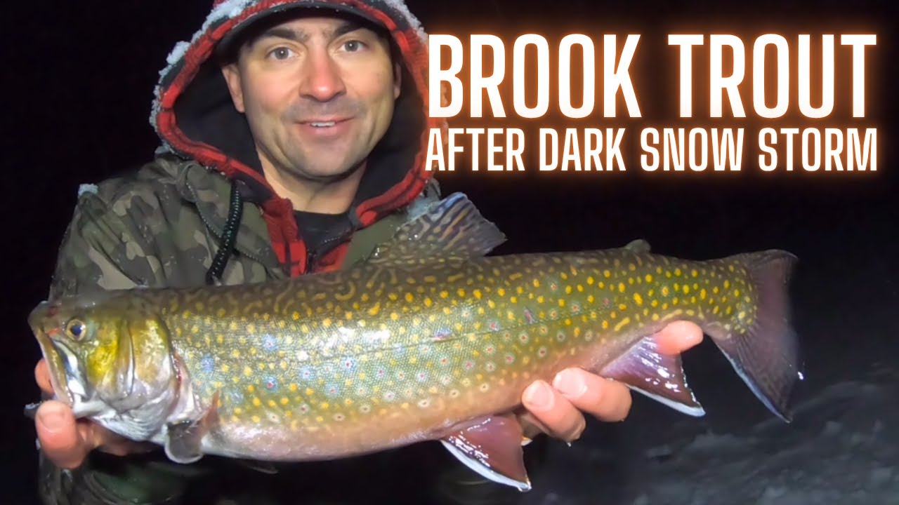 ICE FISHING Brook Trout Night Fishing Snow Storm YouTube