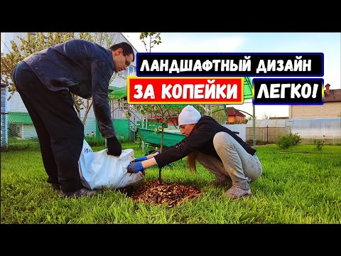 На дачном участке ландшафтный дизайн своими руками