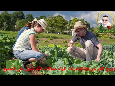 خروج اكتر من كونترات فهاد عمالات الله اسهل على الجميع