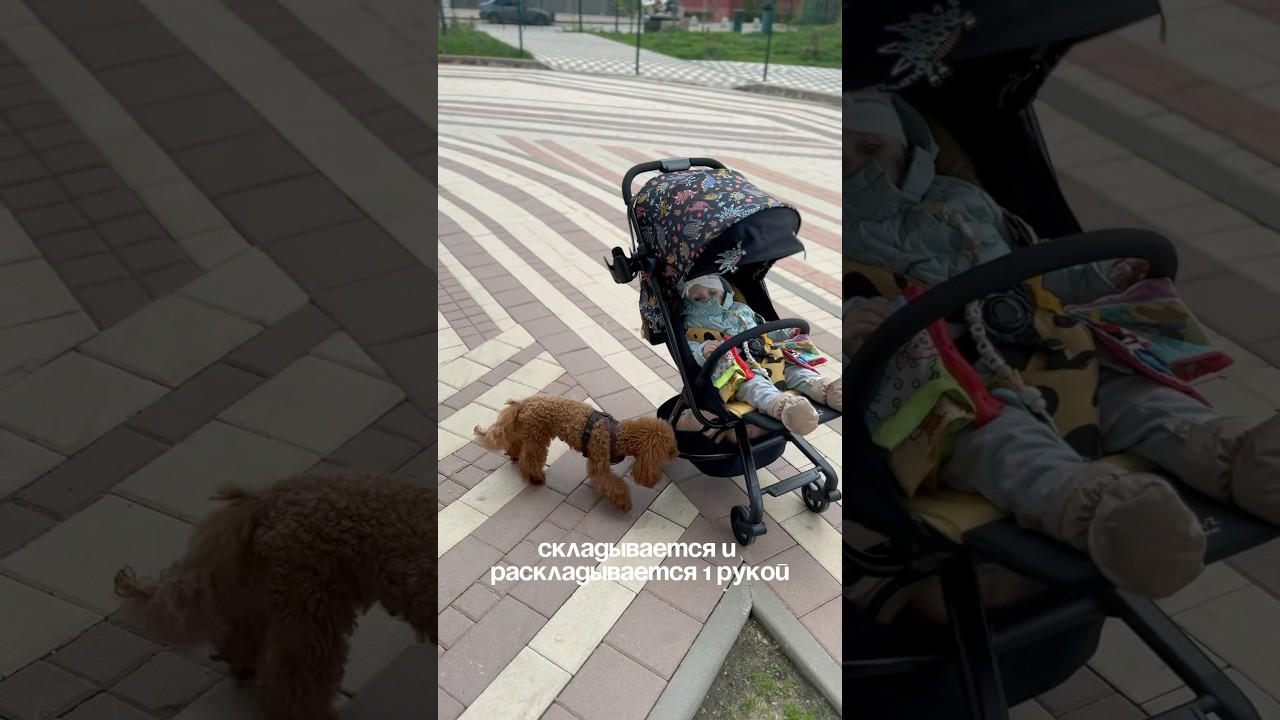 Наша прогулочная коляска anex air-z спустя год 