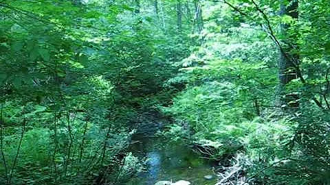 18 Mile Long Run at Milford Rail Trail and Palmer'...