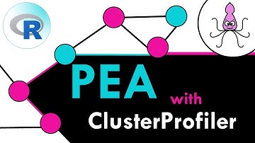 Pathway enrichment analysis tutorial in R with clusterProfiler()