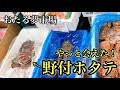 【北海道】小樽『おたる夢市場』ずっと食べたかった「野付産巨大ホタテ」と感動の再会!