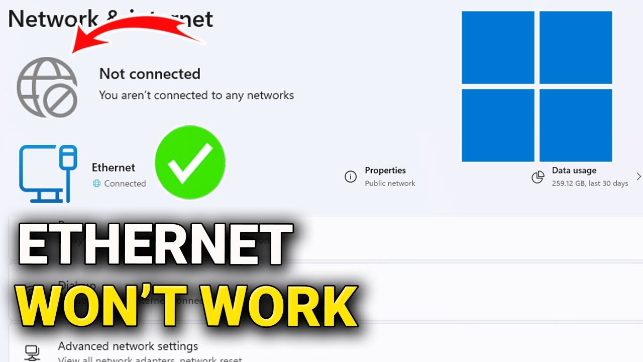 How to Fix Ethernet Connection Issues on Windows 11 – Step by Step ...