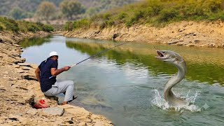 🎣 THE EEL SUDDENLY ATTACKED MY TINY HOOK! EEL FISH CATCH IN VILLAGE STREAM 🌿