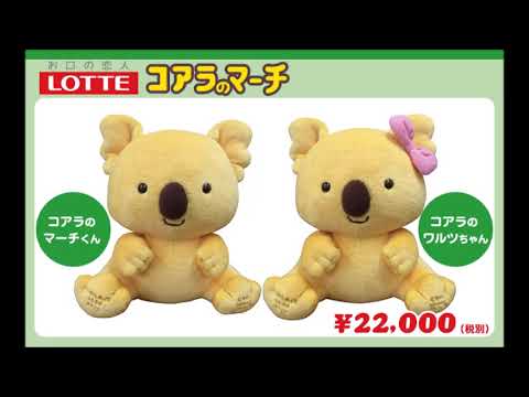 CRAZY KOALA - ISLTNZMによるギター演奏