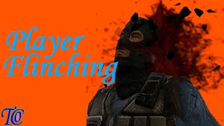 GMod Addon Demo — Player Flinching