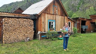 ПРОГУЛКА ПО ИДЕАЛЬНОМУ САДУ Светланы в Сибири Борьба с МУРАВЬЯМИ Рынок Саяногорск ХАКАСИЯ