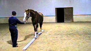 balancebeam.AVI