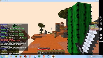 Mineplex Hacker Grim48