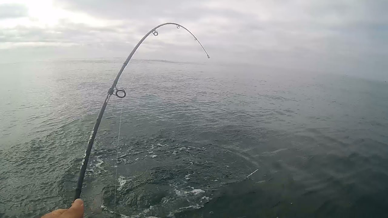 2021 Outubro  Pesca em Kayak na Figueira da Foz