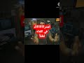 الدحيح نصك ملحد ونصك مؤمن الدحيح الدحيح
