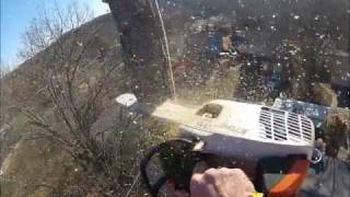 Tree Work Compilation.wmv