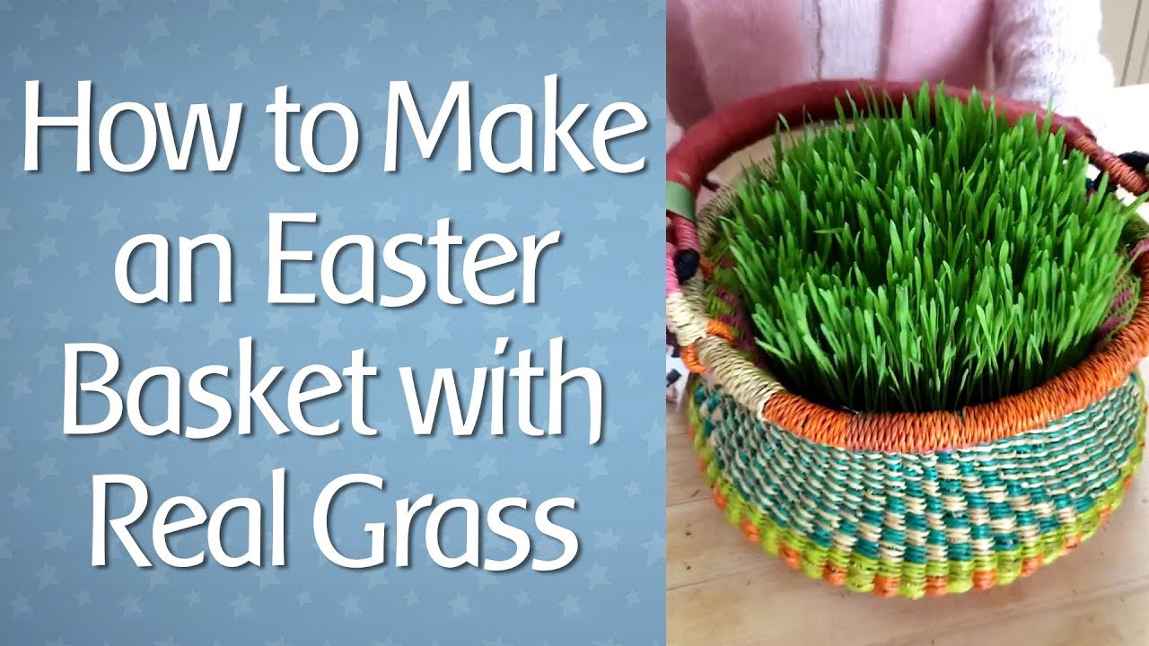 How to Grow your own Easter Grass - The Crafty Blog Stalker