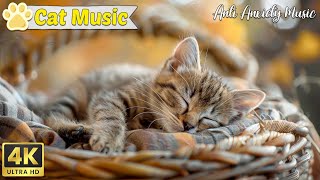 Anti-anxiety lullaby for cats 🐱 Make your cat happy with soothing music for cats 🎵 by Music For Cats 1,297 views 3 weeks ago 23 hours