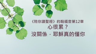 約翰福音12章/陪你讀聖經《心很累? 沒關係,耶穌真的懂你 》 約翰福音12章/陪你讀聖經《心很累? 沒關係,耶穌真的懂你 》