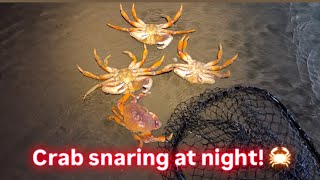 Crab snaring at night in San Francisco, CA! Amazing sunset! #crabbing #Dungenesscrab #sunset