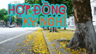 HỢP ĐỒNG KỲ NGHỈ | Ca Khúc Trữ Tình Soft Rock | Cảnh Tỉnh Tuổi Già screenshot 3
