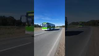 Новые автобусы едут в Риддер из Семея