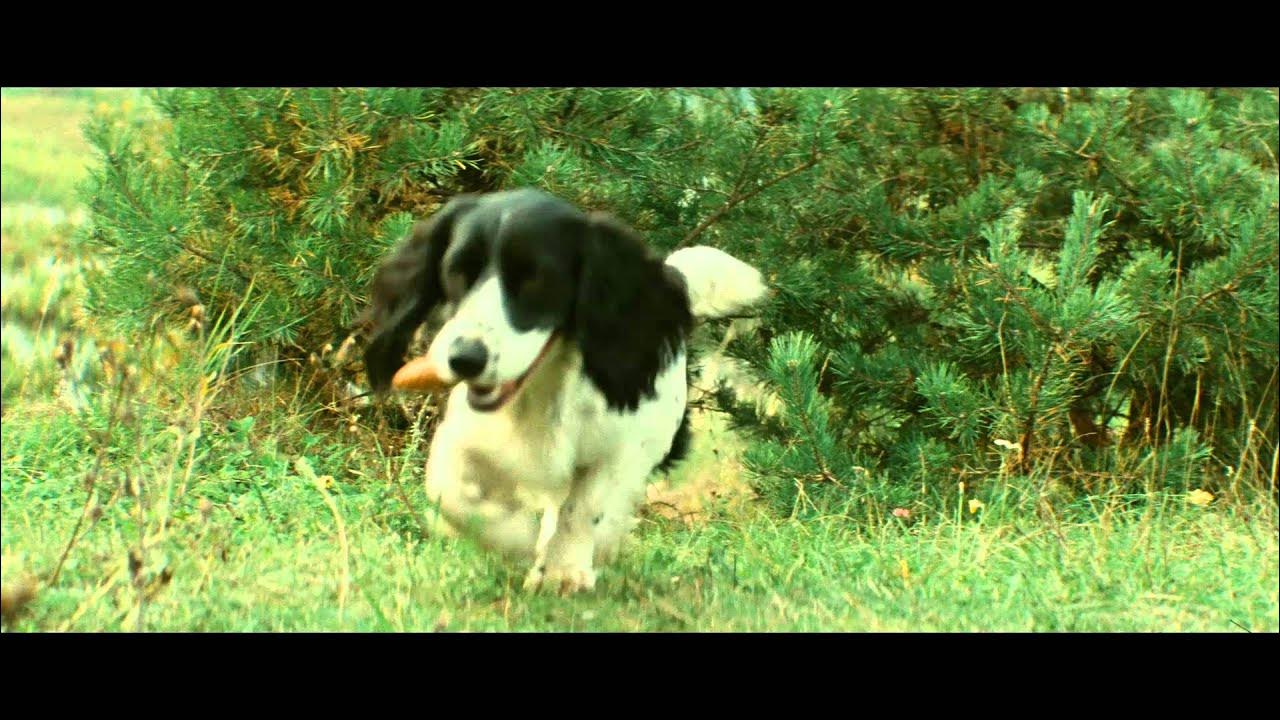 Ералаш 209. Ералаш 103 выпуск 1994. Ералаш 222. Ералаш прогулка отменяется. Ералаш лежать.