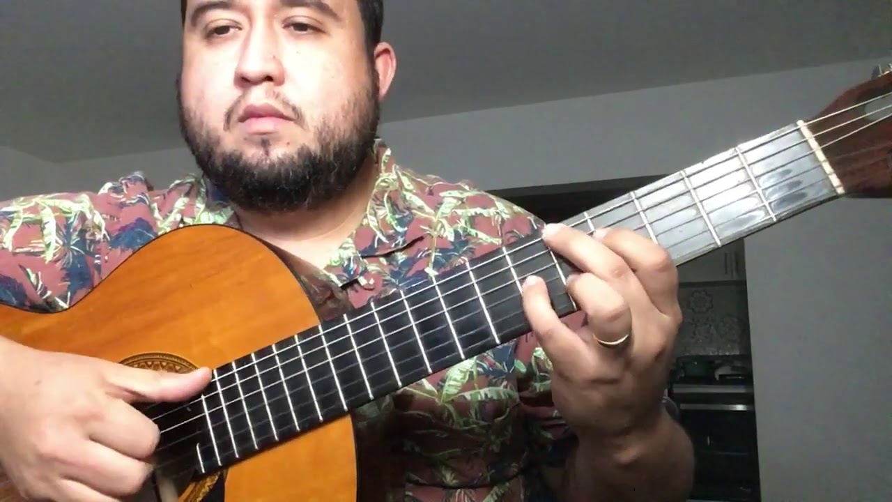 Natalia Lafourcade - Un pato (Cover)