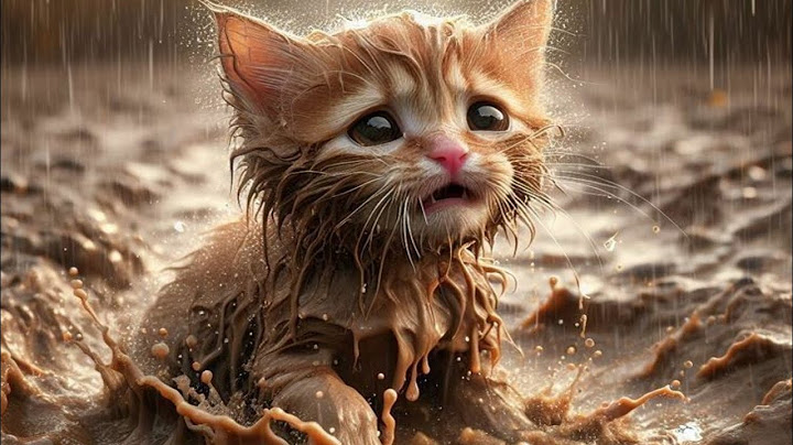 triste história do gatinho😪,*VEJA O FINAL! #ia #cat #aicats #aicatstories