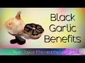 Black Garlic: Benefits & Facts