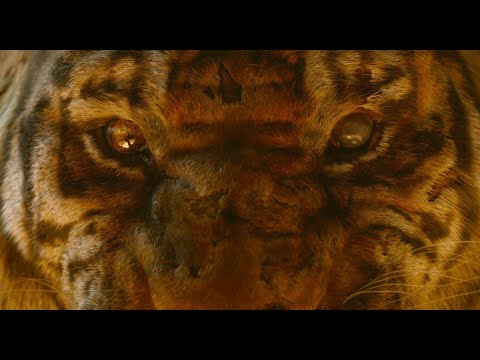 Маугли против Шер-Хана! - "Книга джунглей" отрывок из фильма