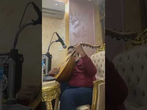 مين فينا ياهل ترى باع الهوى واشترى محمدعمر ابوعمر في القاهره جلسه