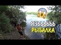 РЫБАЛКА 24 ЧАСА. ТОЛСТОЛОБЫ МАШИНЫ ЛОМАЮТ УДОЧКИ