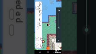Pokemon Ruby cheat codes.