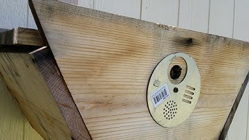 top bar swarm trap part 2