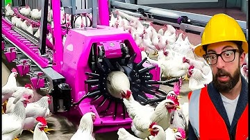 Smart Workers | Working with Talented Engineers #2