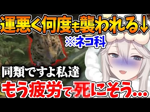 リベンジ回でジャガーに何度も遭遇してボロボロになるししろん【ホロライブ/切り抜き/VTuber/ 獅白ぼたん 】