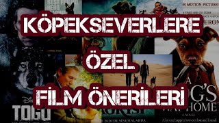 Köpeği̇ Olan Herkesi̇n Izlemesi Gereken Fi̇lmler