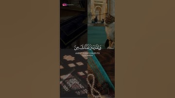 وما يلقاها إلا الذين صبروا  🍀🍁#سورة_فصلت #ياسر_الدوسري #دعمكم #الحمدلله_دائماً_وابداً #راحه_نفسيه