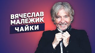 Вячеслав Малежик — Чайки | Песня о птицах и душах моряков на стихи Галины Заренковой