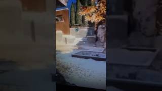 Wrong rules and ended game