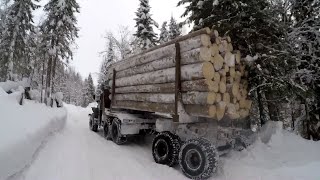 видео: Еду на Урале за лесом. Новый маршрут. картинка: Еду на Урале за лесом. Новый маршрут.